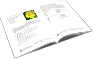 Blütenessenzen für den Praxiseinsatz