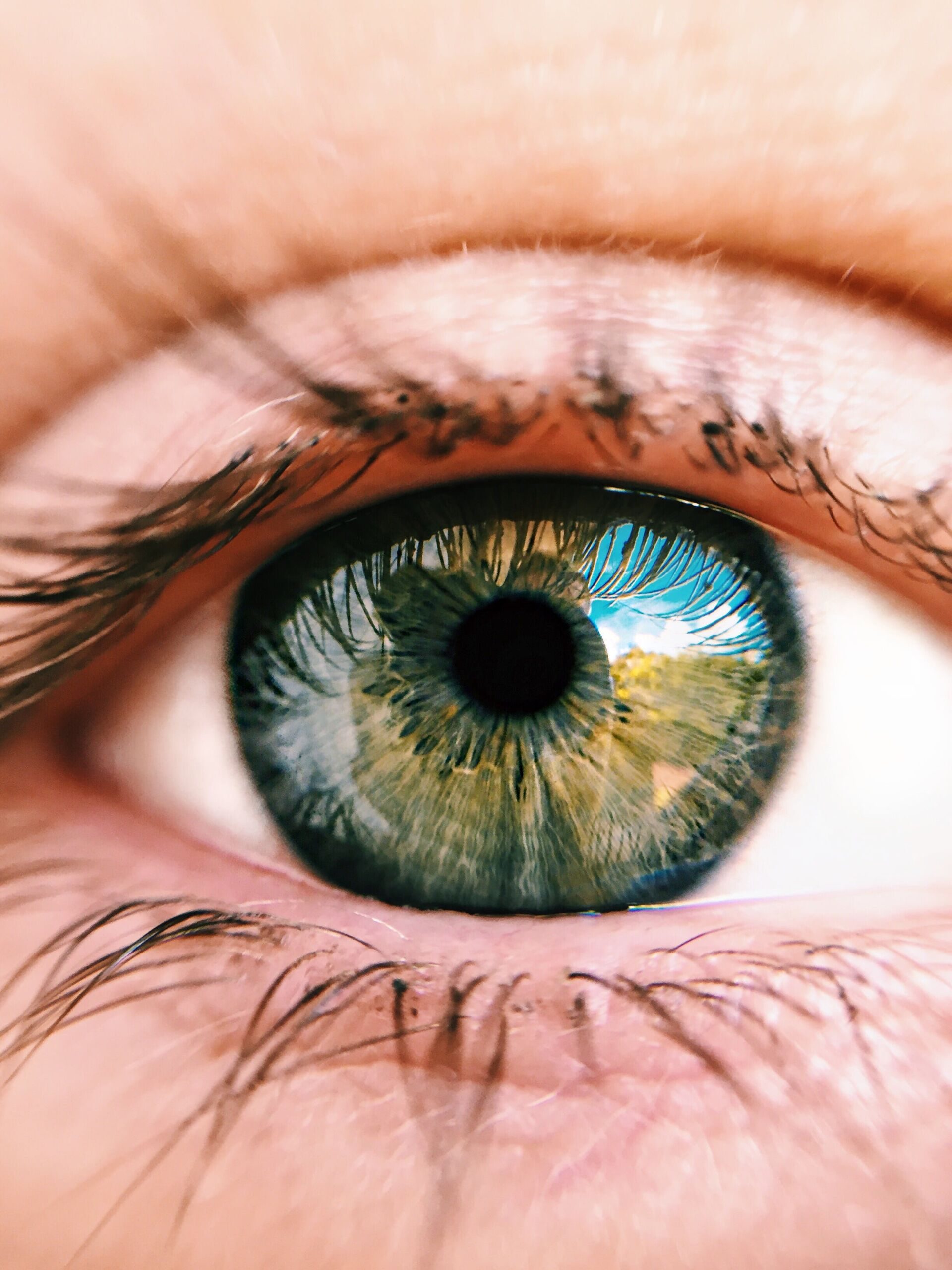 Auge Auge