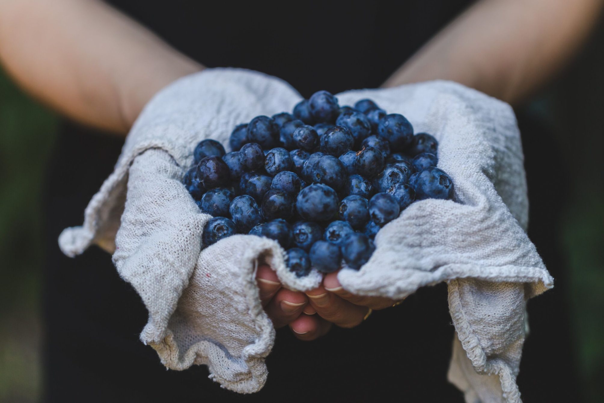 Augengesundheit_Heidelbeeren Augengesundheit_Heidelbeeren