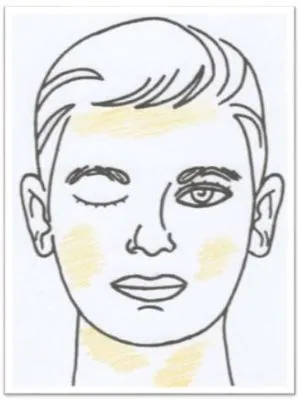 Antlitz-Analyse Nr 12 Calcium sulfuricum