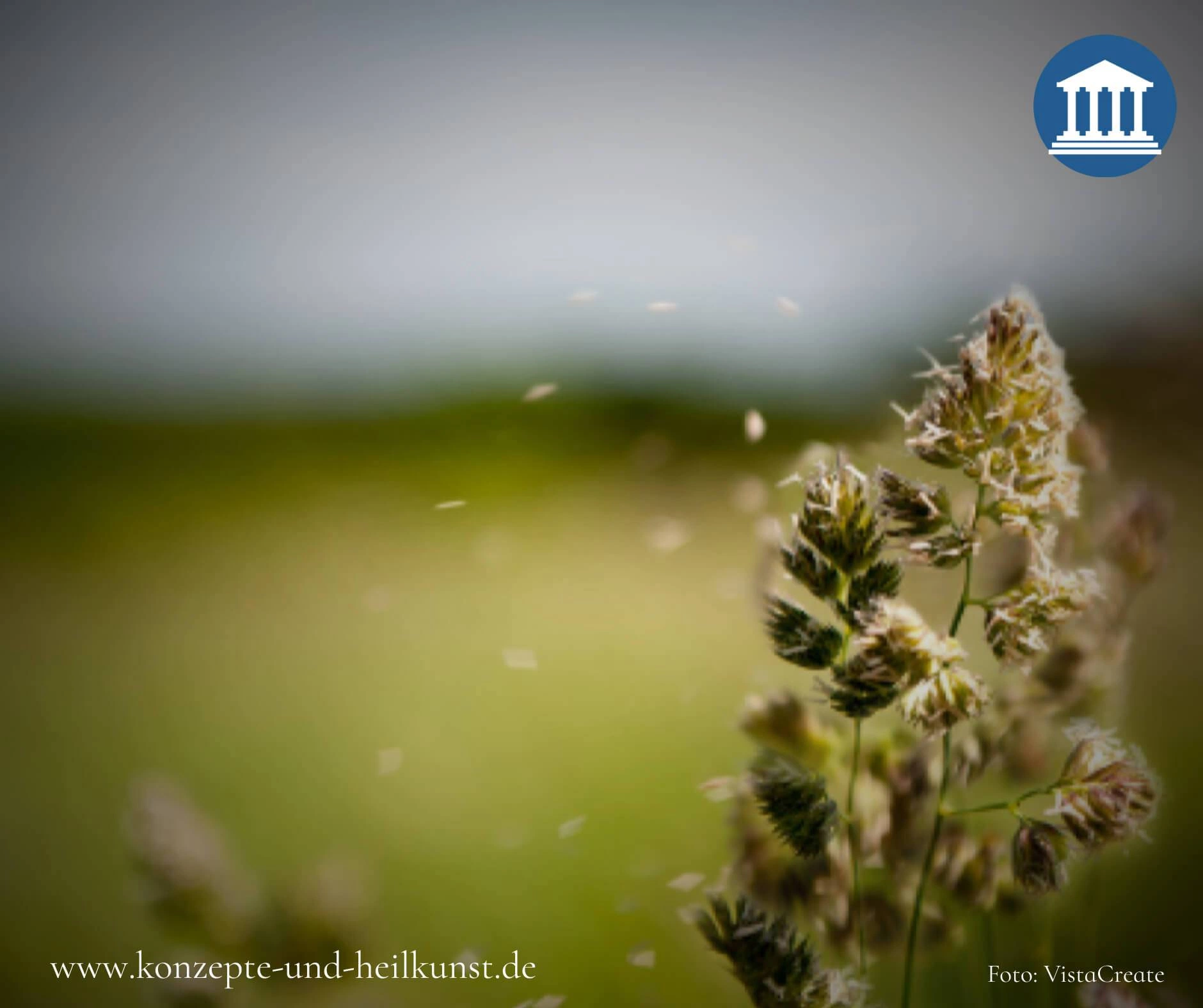 Hallo Frühling, Tschüss Heuschnupfen!